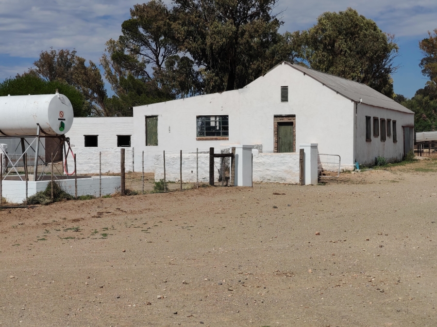4 Bedroom Property for Sale in Steynsburg Eastern Cape